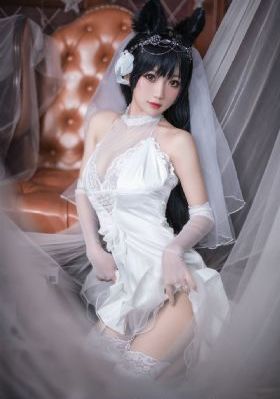 天天在线免费视频